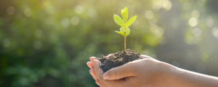 ¿HOTELES SOSTENIBLES EN BARCELONA? HABLEMOS DEL FUTURO DE LA SOSTENIBILIDAD EN EL SECTOR HOTELERO